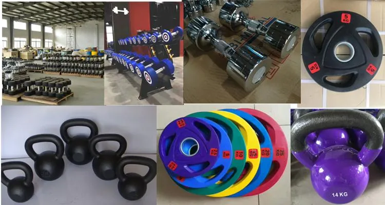 Ad-17 Home Gym Sports Equipment Rubber Coating Adjustable Weight Set/52.5 Lb Adjustable Dumbbell Set
