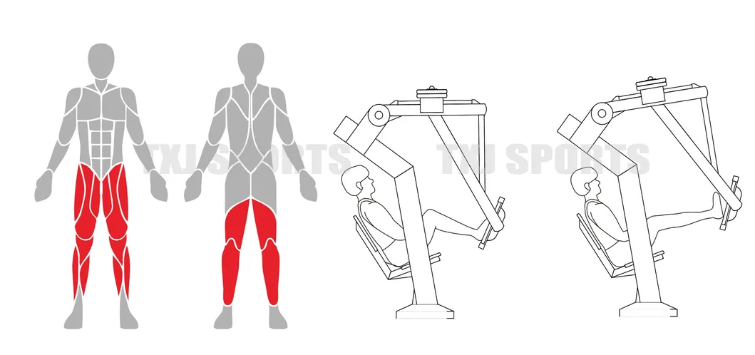 Commercial and Home Outdoor and Indoor Fitness Gym Machine for Strength Training