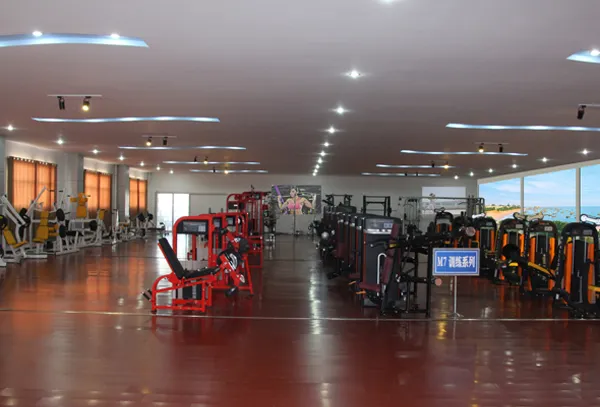 Commercial Fitness Equipment/Gym Equipment for Hack Squat (FM-1024F)