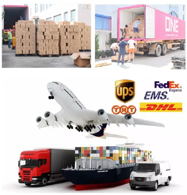 Custom Logo Gym Equipment Weight Lifting Neoprene Coated Rubber Hex Dumbbell for Women