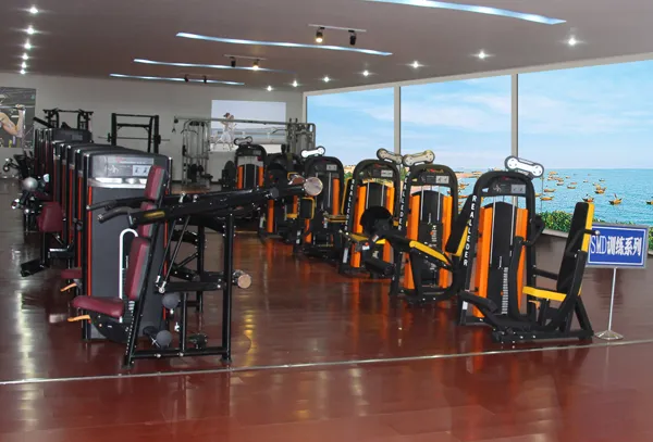 Fitness Equipment / Gym Equipment for Abdominal Crunch (HS-1037)