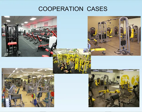 Fitness Equipment / Gym Equipment for Abdominal Crunch (HS-1037)