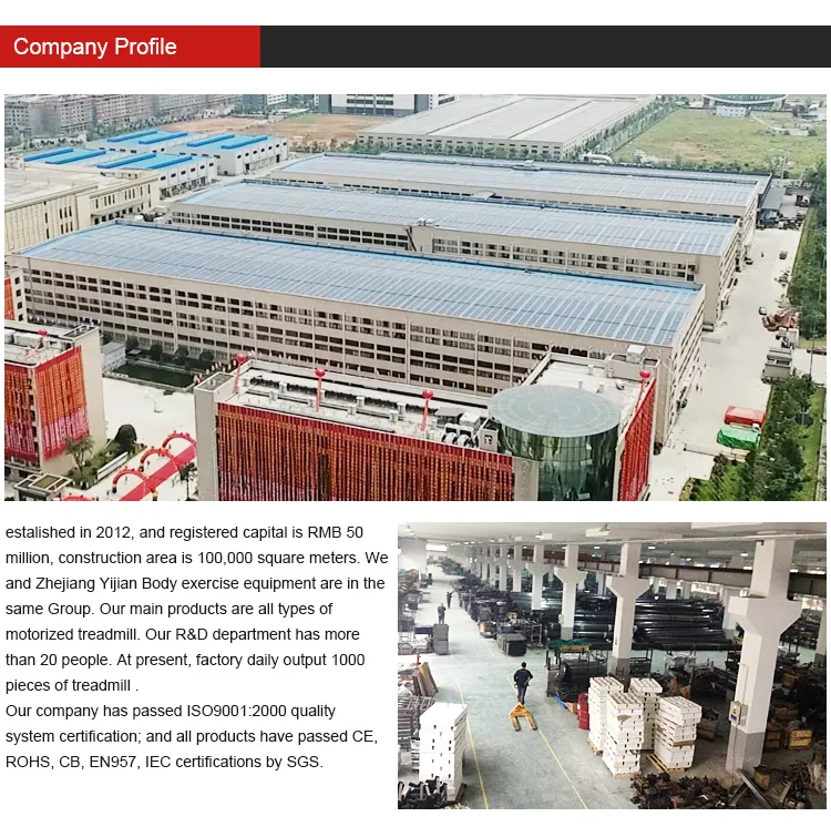 Fitness, Running Machine, Motorized Treadmill (F35)