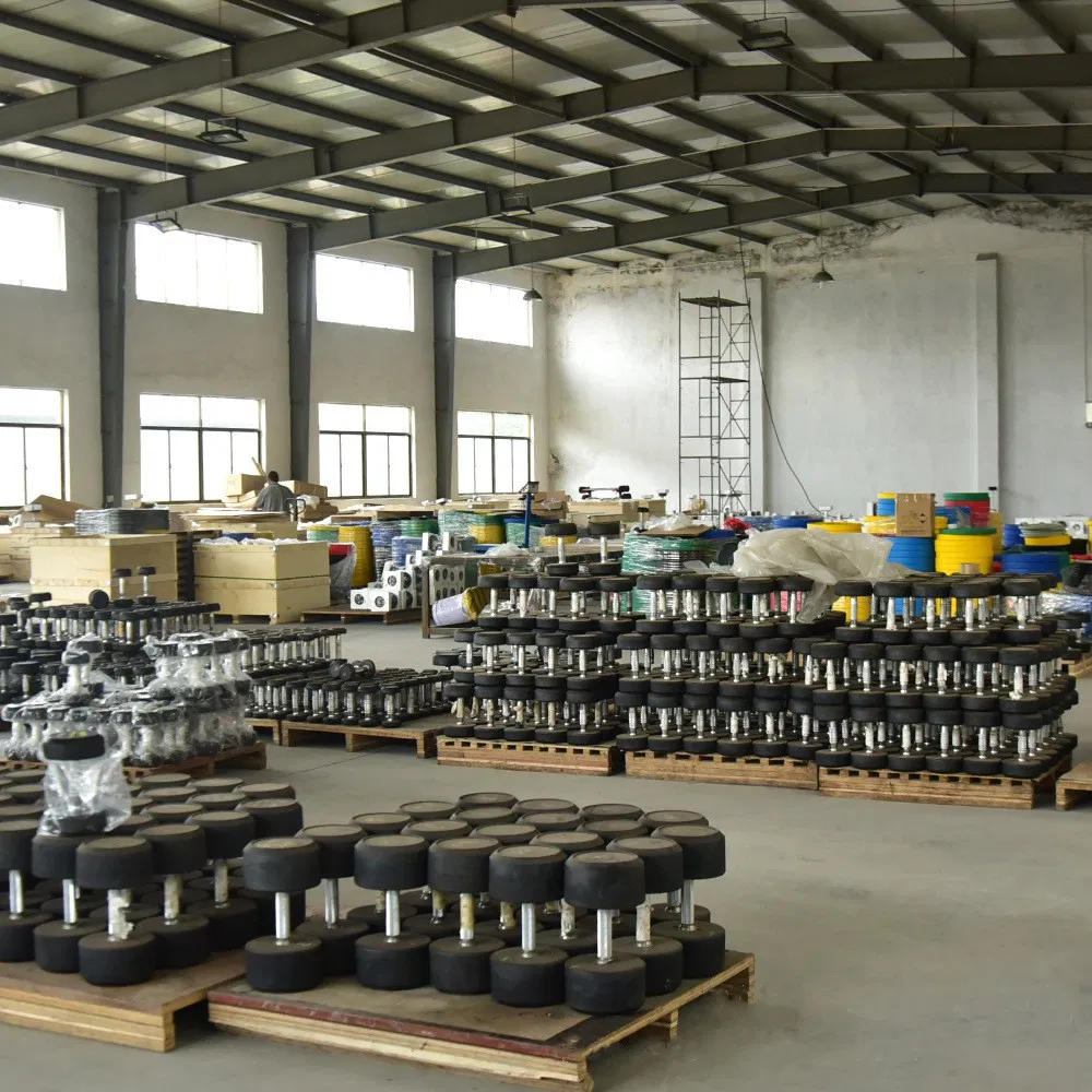 Fixed Black Rubber Dumbbell Accessories Equipment Osf-001