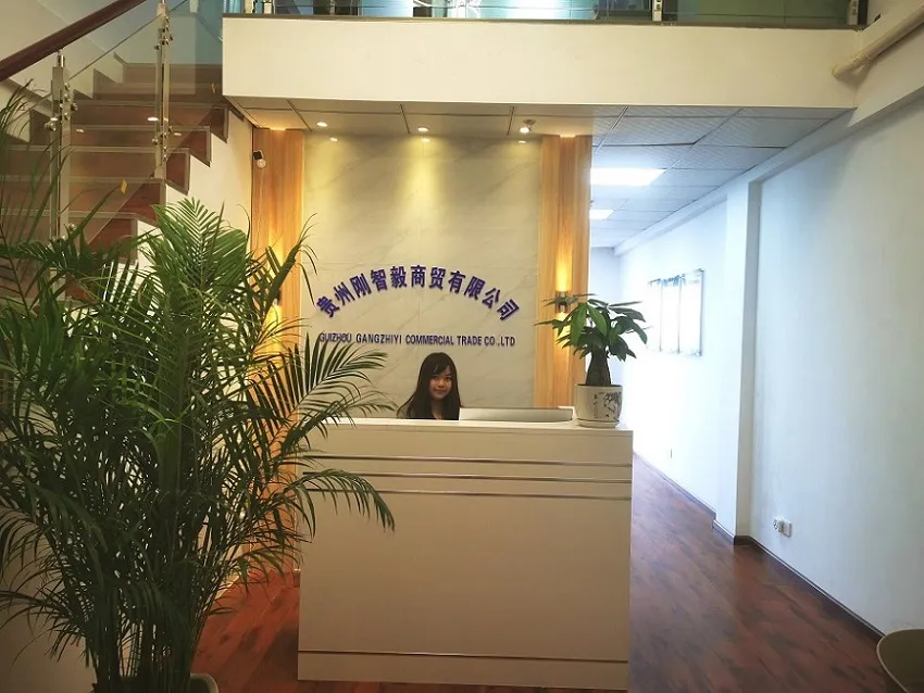 Gangzhiyi Multifunction DC 3.0HP Commercial Motorized Treadmill