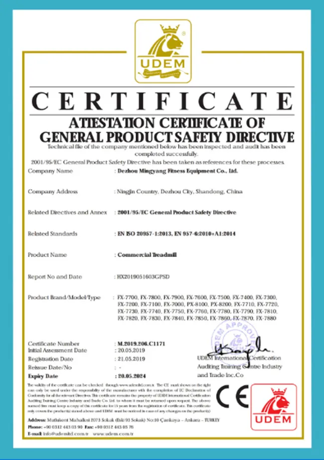 Gym Stairmaster Machine / Stepmill Cardio Products