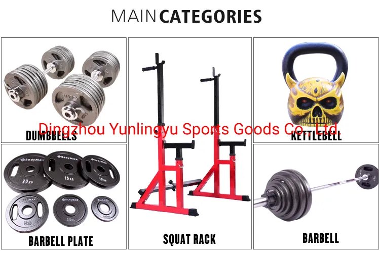 Gymnasium Fixed Dumbbell for Women and Men′s Household Professional Rubber Covered One Round Head Arm Exercise Muscle Commercial Dumbbell
