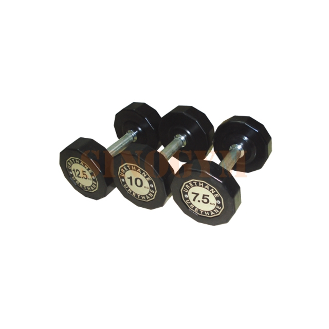 High Quality PU Coated Dodecagon Dumbbells