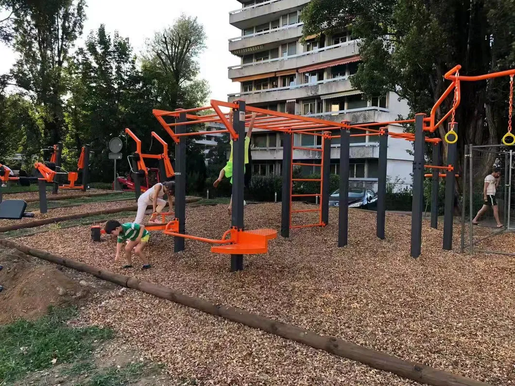 Home Gym Monkey Bar Multi Commercial Outdoor Fitness Equipment