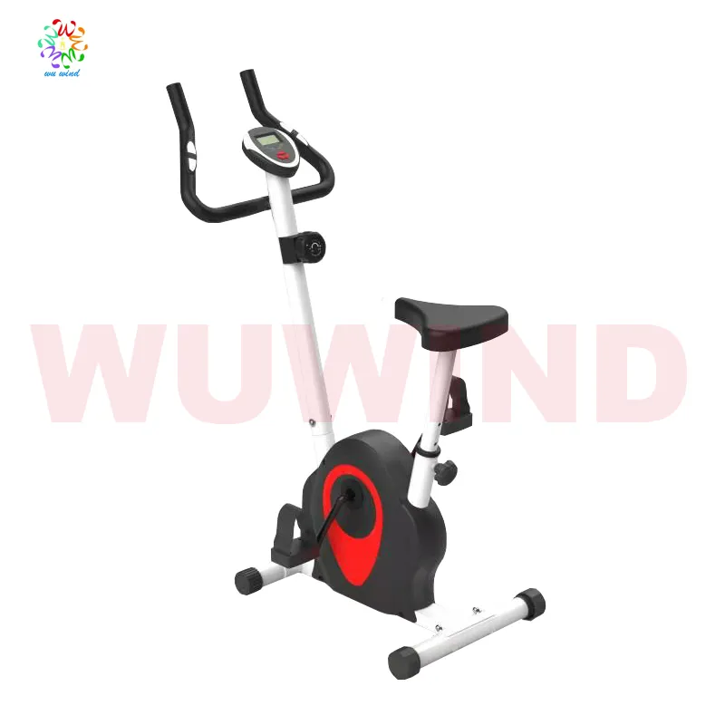 Hot Sales Indoor Magnetic Professional Fitness Exercise Bike