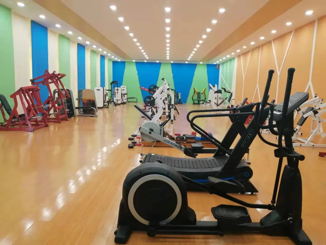 Indoor Sports Static Bicycle Spin Exercise Bike Gym Equipment Osm-5600