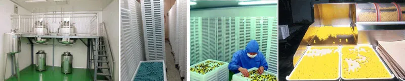 Industrial Grade Safe Customized 0.68 Caliber Paintballs Balls for Field Shooting