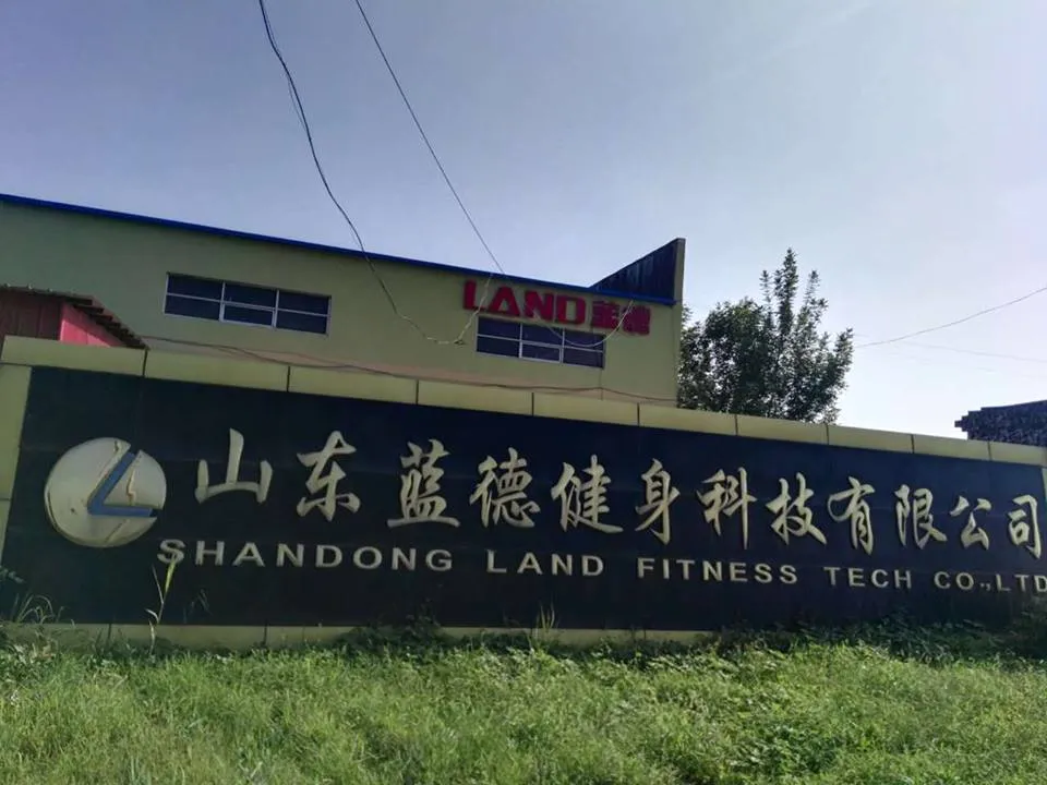 Land Best Seller Commerical Curve Treadmill for Gym and Home Use