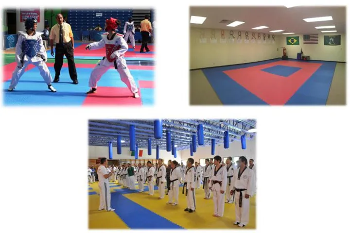 Non-Slip Five Pattern 2cm 2.5cm 3cm Taekwondo Karate Gym Mat Wrestling Tatami Floor Judo Mats Soft Material Arts Mat for Sale
