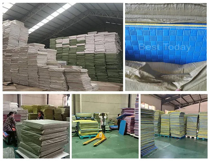 Non-Slip Five Pattern 2cm 2.5cm 3cm Taekwondo Karate Gym Mat Wrestling Tatami Floor Judo Mats Soft Material Arts Mat for Sale