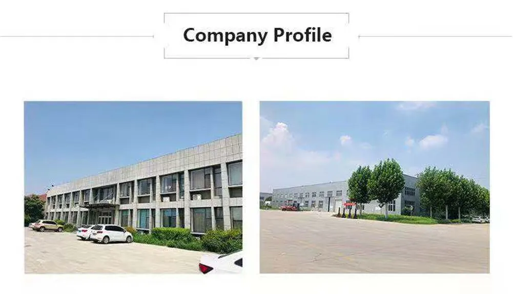 Professional Commercial Gym Fitness Equipment Magnetic Spinning Bike for Club