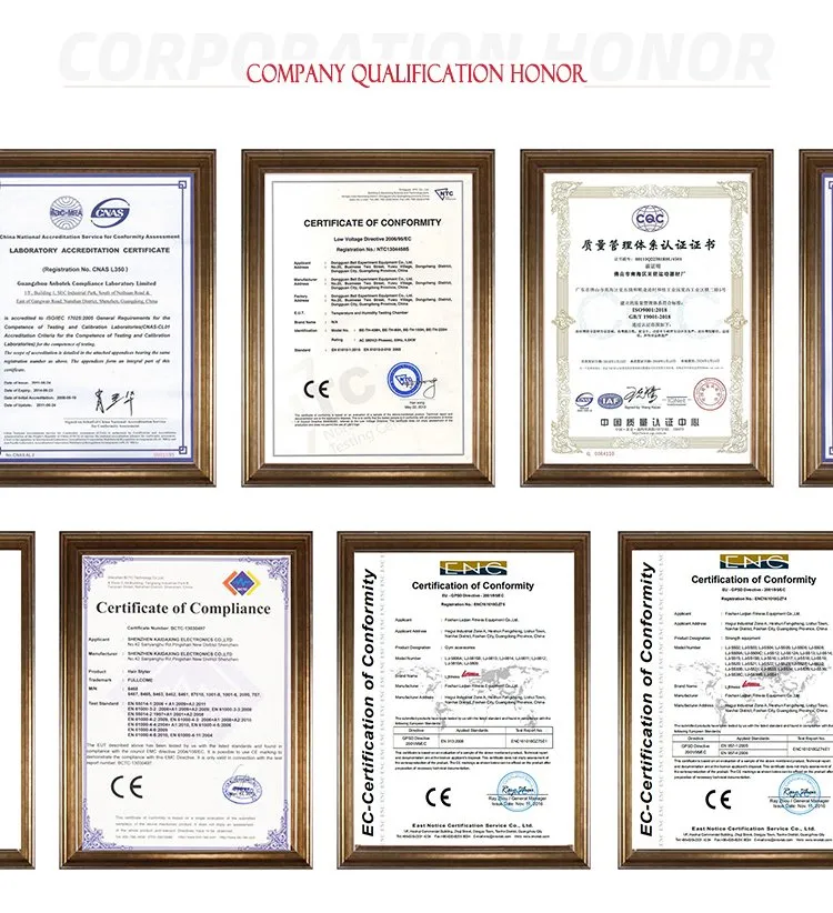 Recumbent Exercise Bike Indoor Cycle Sporting Goods Gym Club Trainer Use