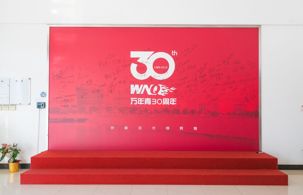 Self Generator Commercial Cardio Recumnent Bike Gym Club Fitness Equipment