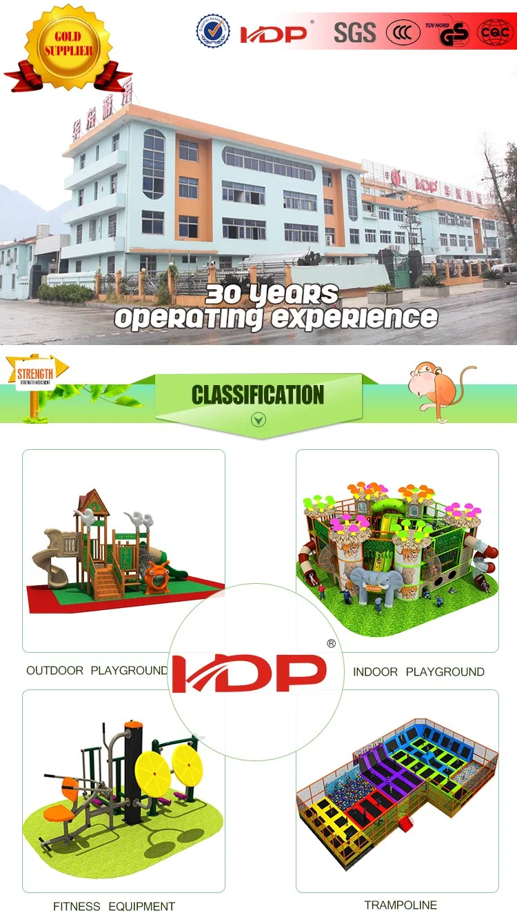 SGS\OHSAS18001\ISO9001\ISO14001 Certificate Good Quality Outdoor Sport Goods Fitness Equipment Outside Gym Customized Brand