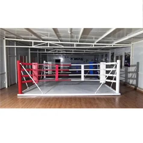 Training Floor Boxing Ring/ MMA/ Muay Thai/ Ufc/ Wretling/ Kick