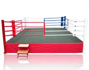 Training Floor Boxing Ring/ MMA/ Muay Thai/ Ufc/ Wretling/ Kick