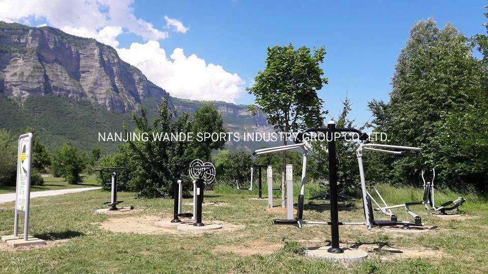 TUV Standard Body Building Exercise Strength Training Sports Goods Street Workout Gym Station Machine Sky Stepper Commercial Outdoor Fitness Equipment