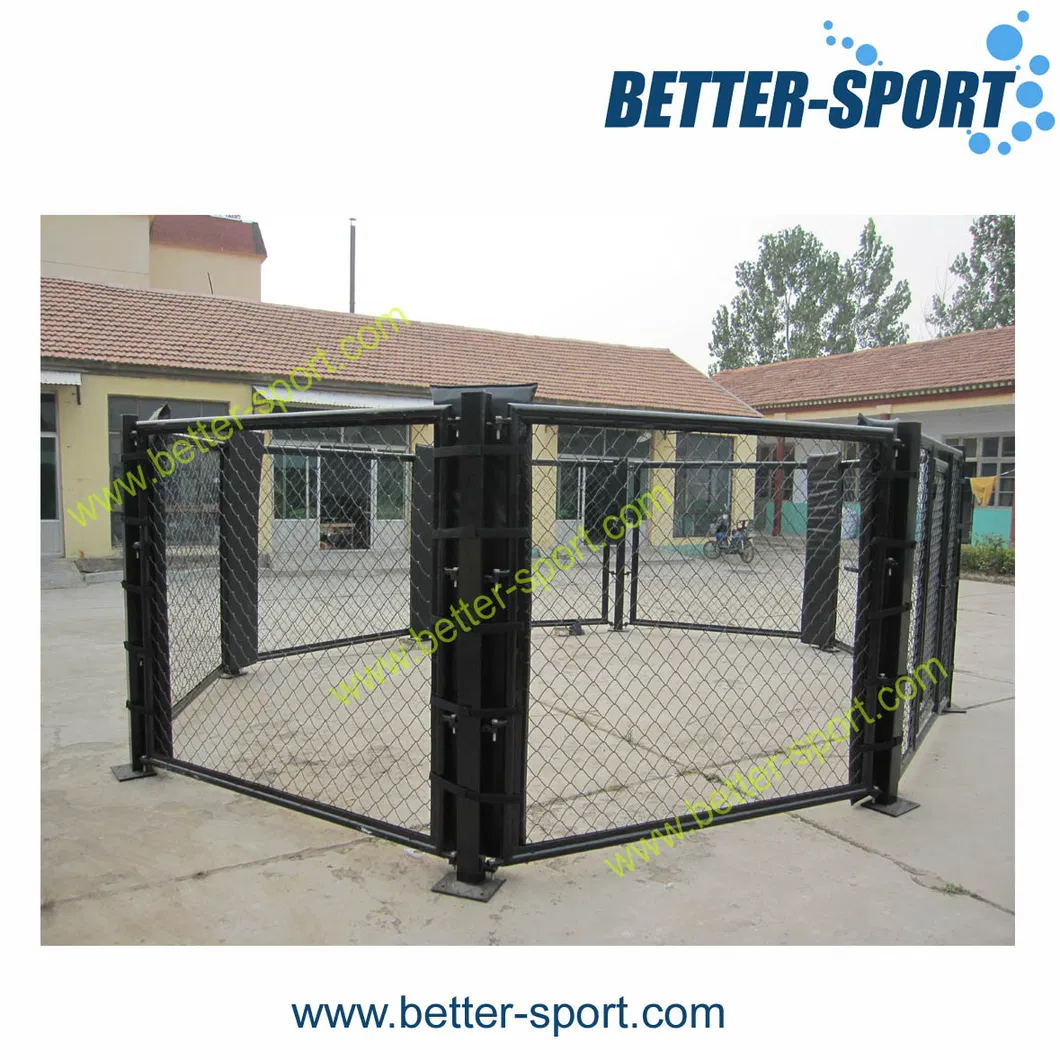 Ufc Ring, Also Called The Octagon