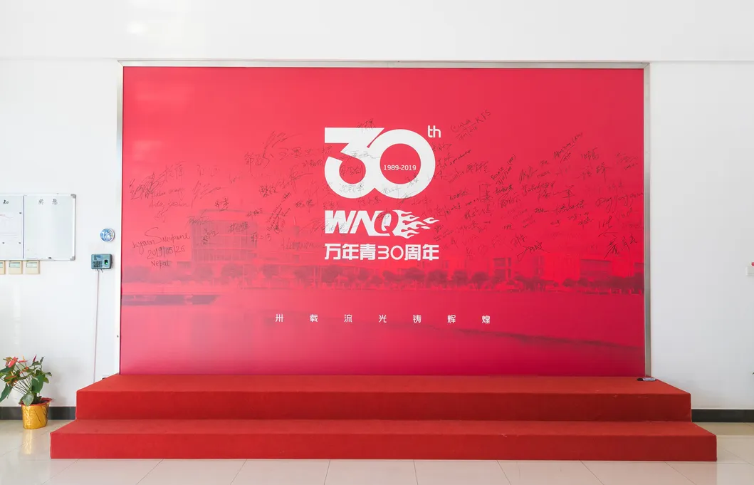 Wnq-7618A Semi-Commercial Elliptical/Cross Trainer